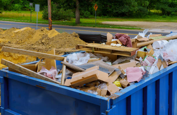 Yard Cleanup Services in Raleigh, NC
